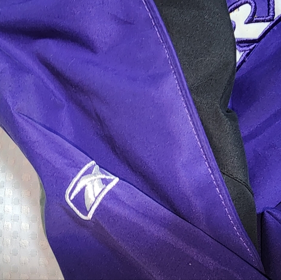 NFL EUC YOUTH  SIZE LARGE 14-16 BALTIMORE RAVEN LINED WINDBREAKER - Picture 5 of 9